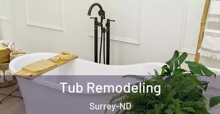 inner Bathroom imggen Tub Remodeling Surrey-ND