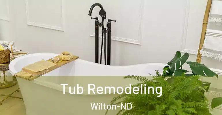 inner Bathroom imggen Tub Remodeling Wilton-ND