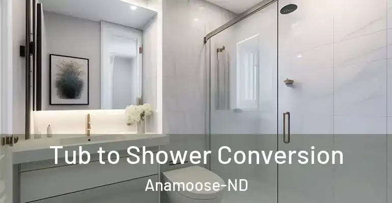 inner Bathroom imggen Tub to Shower Conversion Anamoose-ND