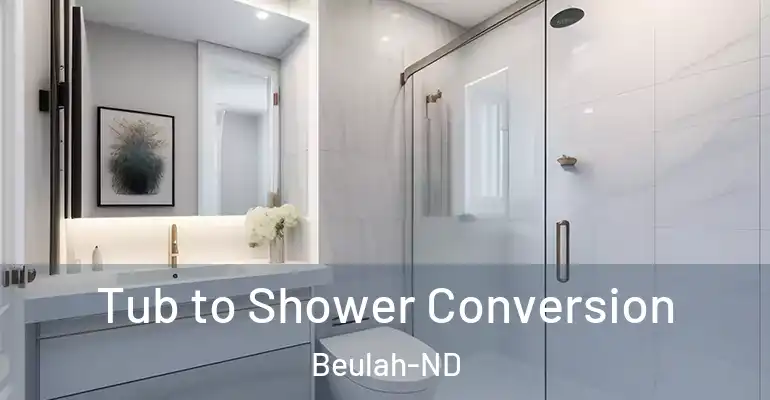 inner Bathroom imggen Tub to Shower Conversion Beulah-ND