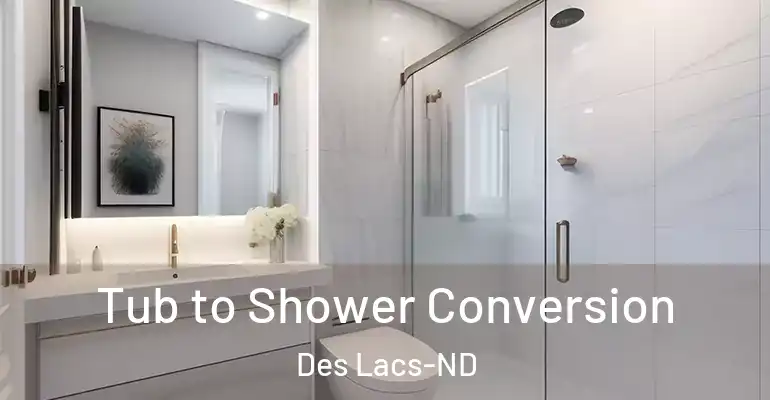inner Bathroom imggen Tub to Shower Conversion Des Lacs-ND