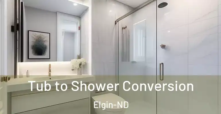 inner Bathroom imggen Tub to Shower Conversion Elgin-ND