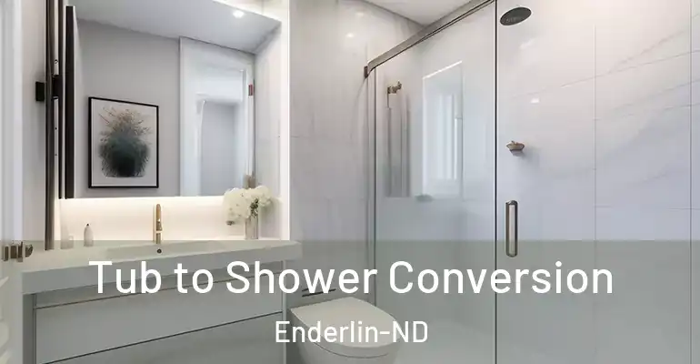 inner Bathroom imggen Tub to Shower Conversion Enderlin-ND