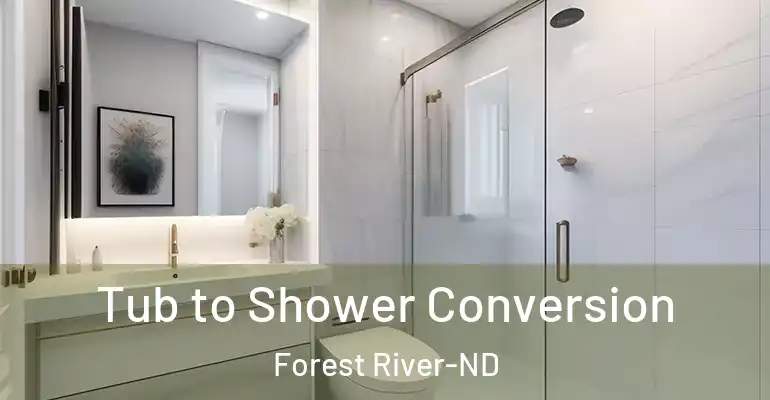 inner Bathroom imggen Tub to Shower Conversion Forest River-ND