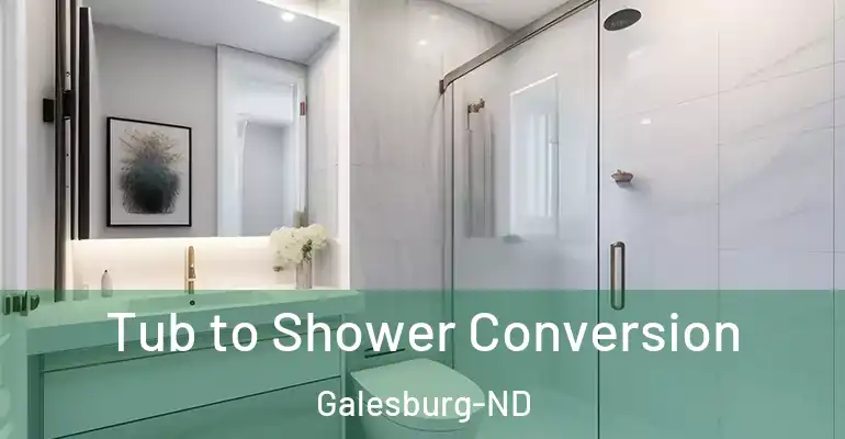 inner Bathroom imggen Tub to Shower Conversion Galesburg-ND