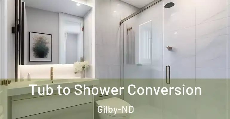inner Bathroom imggen Tub to Shower Conversion Gilby-ND
