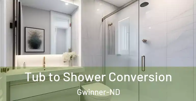 inner Bathroom imggen Tub to Shower Conversion Gwinner-ND