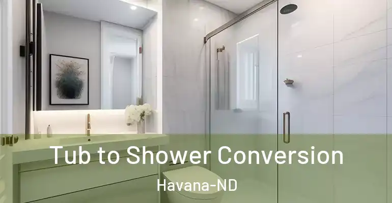 inner Bathroom imggen Tub to Shower Conversion Havana-ND