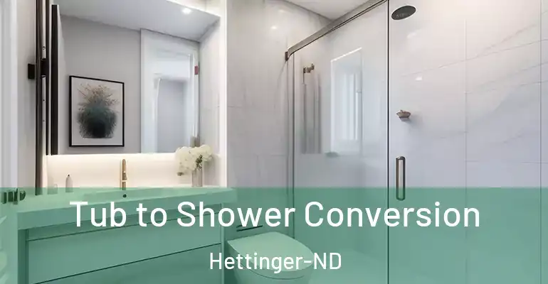 inner Bathroom imggen Tub to Shower Conversion Hettinger-ND