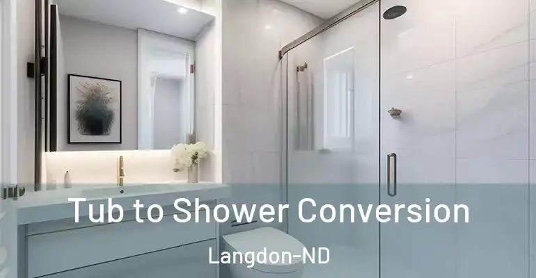 inner Bathroom imggen Tub to Shower Conversion Langdon-ND