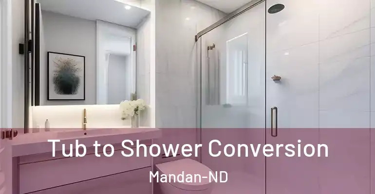 inner Bathroom imggen Tub to Shower Conversion Mandan-ND