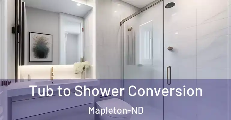 inner Bathroom imggen Tub to Shower Conversion Mapleton-ND