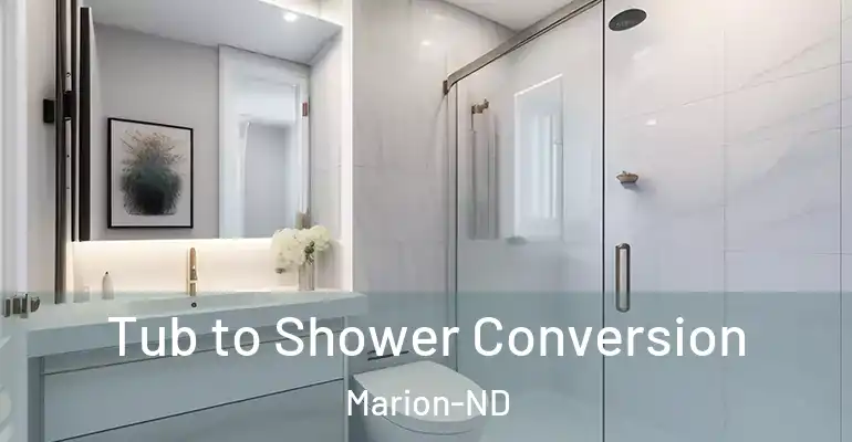 inner Bathroom imggen Tub to Shower Conversion Marion-ND