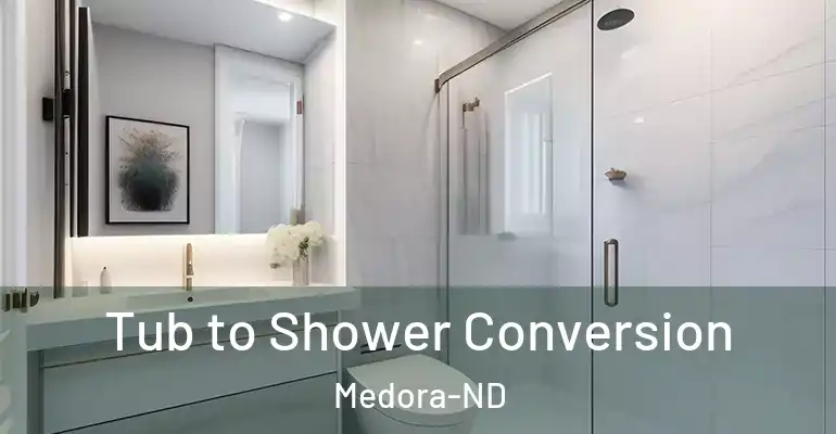 inner Bathroom imggen Tub to Shower Conversion Medora-ND