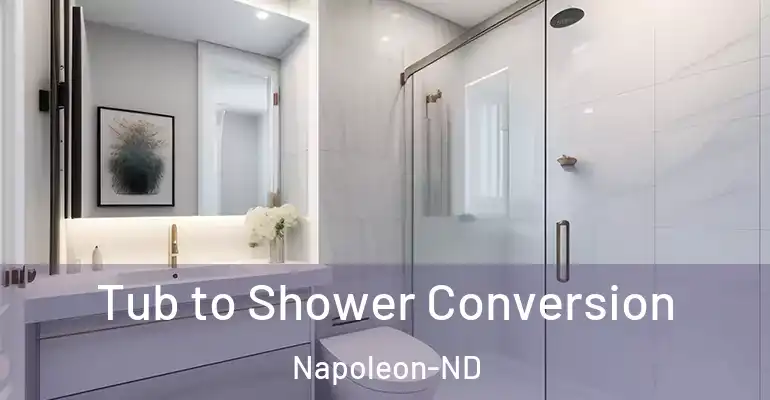 inner Bathroom imggen Tub to Shower Conversion Napoleon-ND