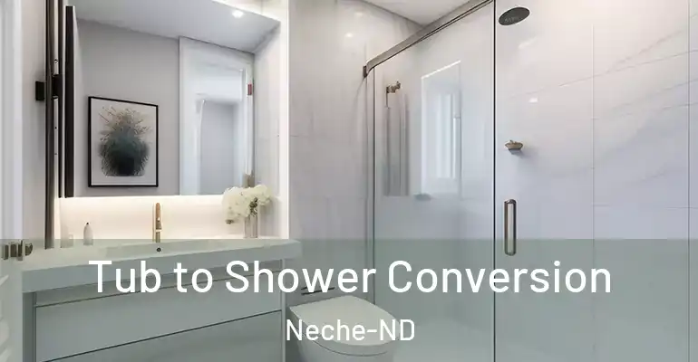 inner Bathroom imggen Tub to Shower Conversion Neche-ND