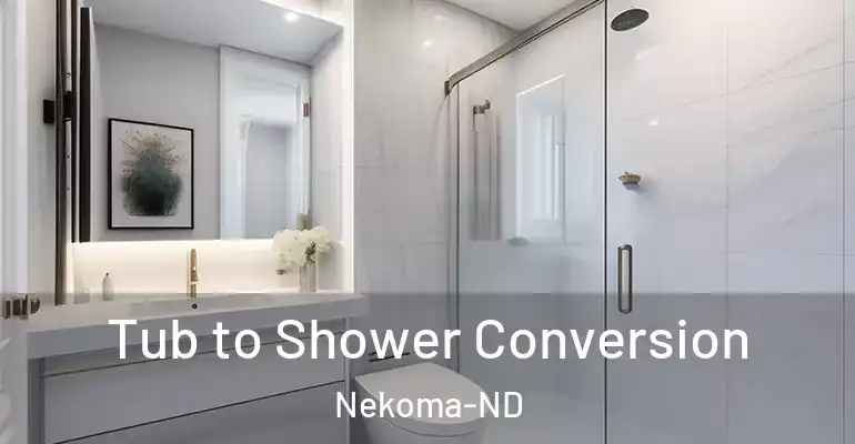 inner Bathroom imggen Tub to Shower Conversion Nekoma-ND