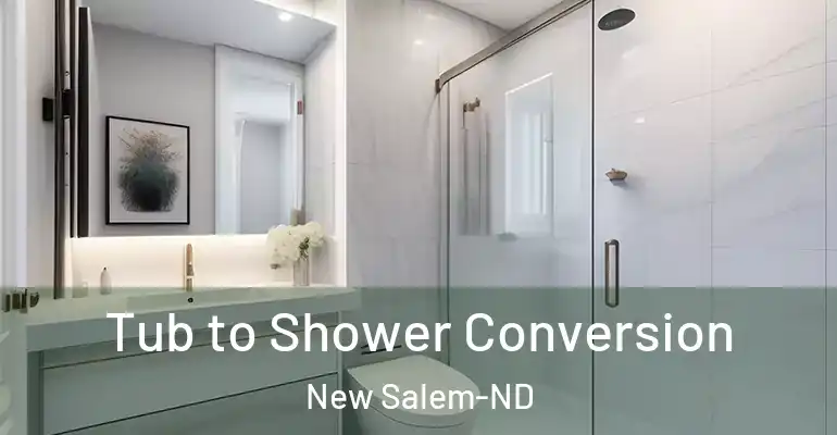 inner Bathroom imggen Tub to Shower Conversion New Salem-ND