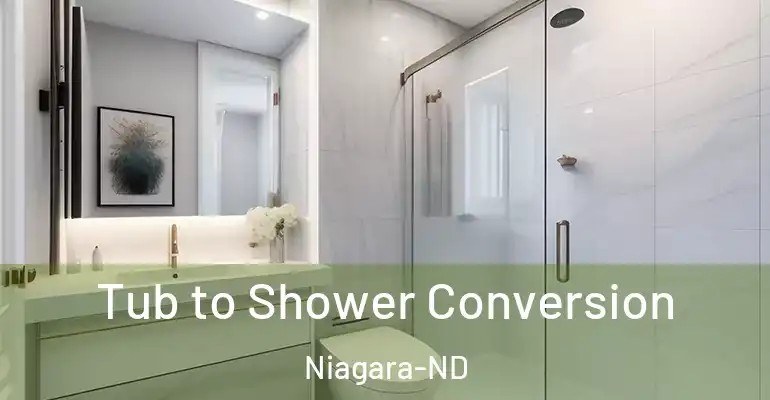 inner Bathroom imggen Tub to Shower Conversion Niagara-ND
