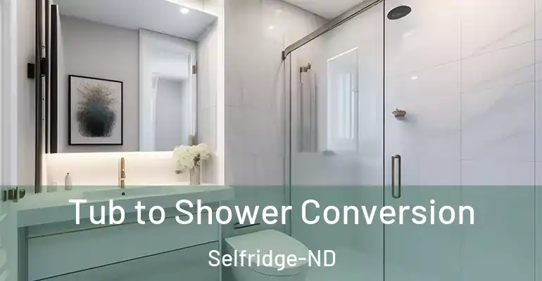inner Bathroom imggen Tub to Shower Conversion Selfridge-ND