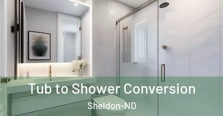 inner Bathroom imggen Tub to Shower Conversion Sheldon-ND