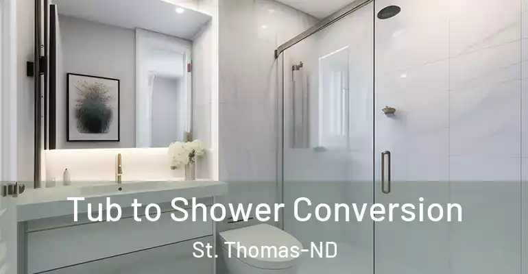 inner Bathroom imggen Tub to Shower Conversion St. Thomas-ND