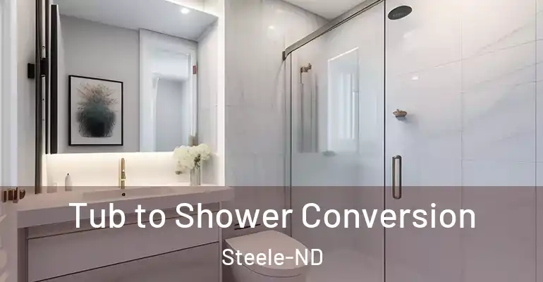 inner Bathroom imggen Tub to Shower Conversion Steele-ND