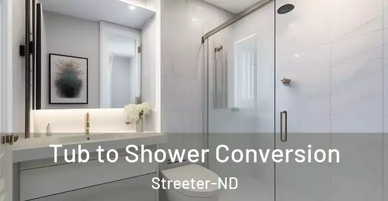 inner Bathroom imggen Tub to Shower Conversion Streeter-ND