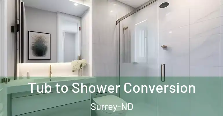 inner Bathroom imggen Tub to Shower Conversion Surrey-ND