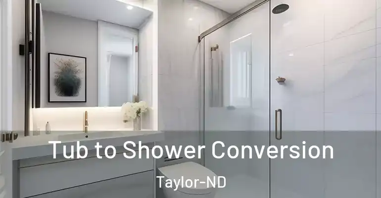 inner Bathroom imggen Tub to Shower Conversion Taylor-ND