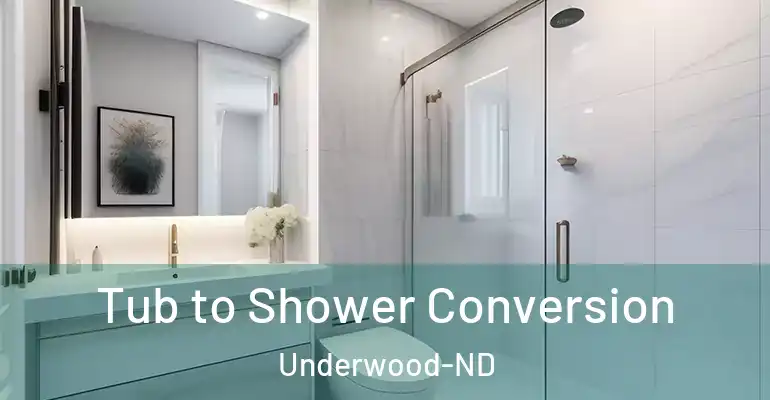 inner Bathroom imggen Tub to Shower Conversion Underwood-ND