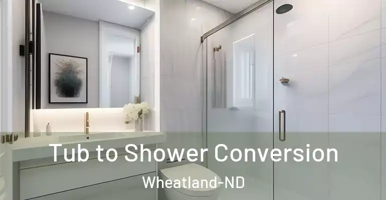 inner Bathroom imggen Tub to Shower Conversion Wheatland-ND