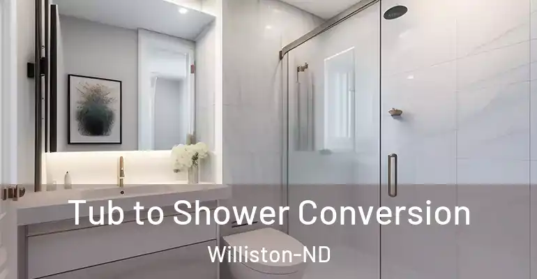 inner Bathroom imggen Tub to Shower Conversion Williston-ND
