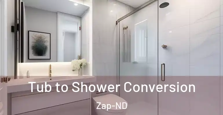 inner Bathroom imggen Tub to Shower Conversion Zap-ND