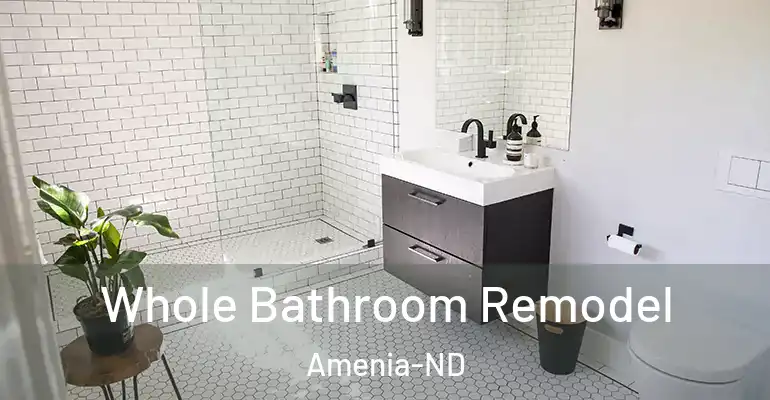 inner Bathroom imggen Whole Bathroom Remodel Amenia-ND