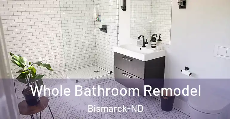 inner Bathroom imggen Whole Bathroom Remodel Bismarck-ND