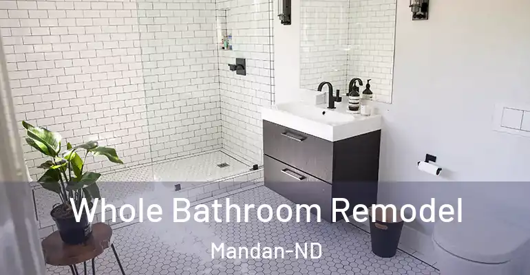 inner Bathroom imggen Whole Bathroom Remodel Mandan-ND