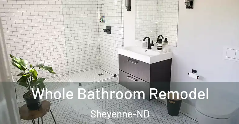 inner Bathroom imggen Whole Bathroom Remodel Sheyenne-ND