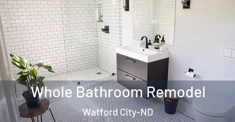 inner Bathroom imggen Whole Bathroom Remodel Watford City-ND